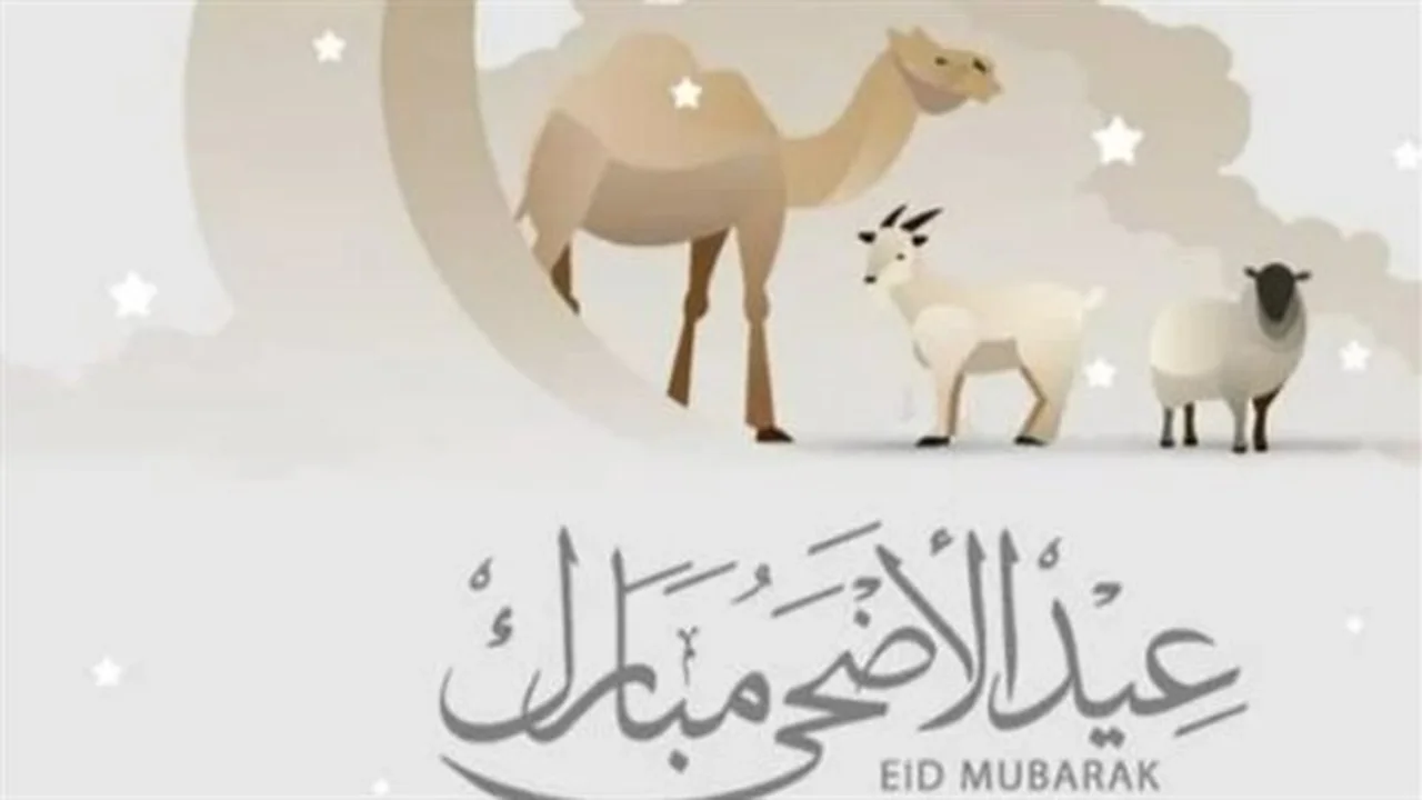 توقعات فلكية.. موعد عيد الأضحى في مصر والدول العربية وفق الحسابات الدقيقة